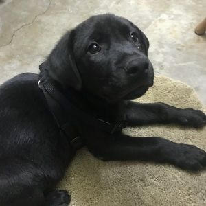 Meet your Posher, Araceli